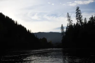 DSC_0293 (Large).JPG